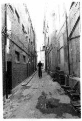 lonelyalley copy